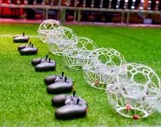 郑氏点银,金价震荡上,今晚关注日,熊猫体育平台,熊猫体育官方网站,熊猫体育登录入口,熊猫体育app下载