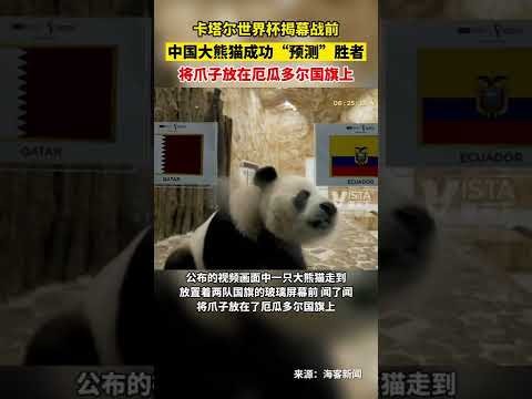 熊猫体育,资讯,熊猫体育平台,熊猫体育平台,熊猫体育官方网站,熊猫体育登录入口,熊猫体育app下载