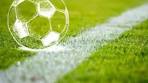 “两小时课堂，体育重归核心”——校园体育变革探究篇