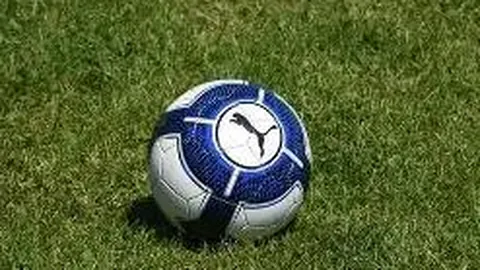 熊猫体育 产品 113643 q1m