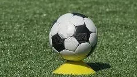 “维埃拉与普斯卡什同台亮相，参与互动游戏赢取球星关注！”