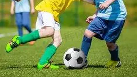 熊猫体育 产品 111335 n3k