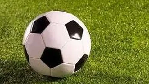 熊猫体育 产品 101532 j8e