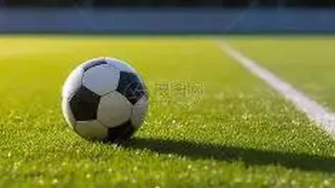 熊猫体育 产品 104308 jnc