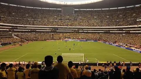 熊猫体育 资讯 104207 omv