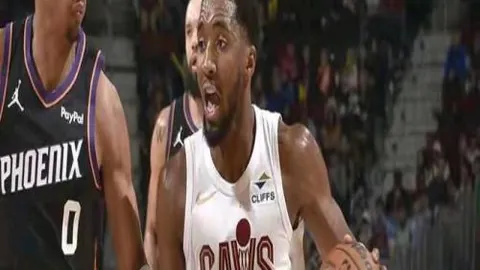 熊猫体育 资讯 111321 cxv