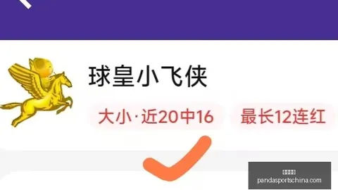 熊猫体育 084305